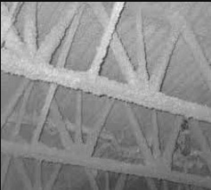 Web capture_1-11-2021_75047_encrypted-tbn0.gstatic.com